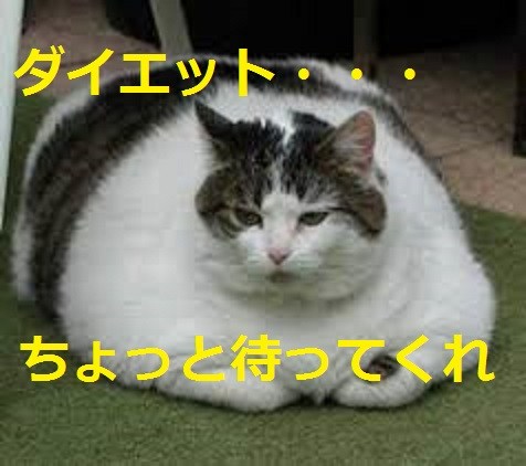 0aefce8e4207ca028db9b1c7957fe053