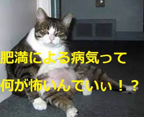 5d51dc9fedb2bb134f0b928533617281