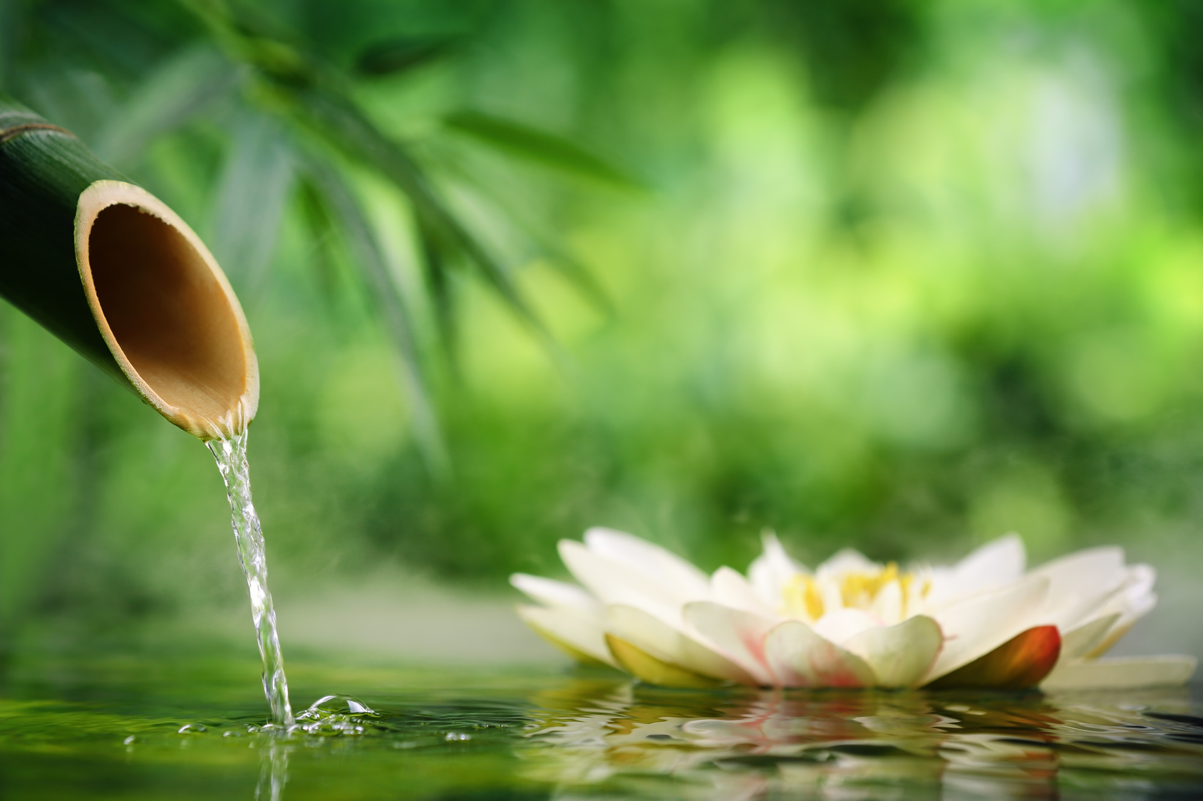 Spa still life with bamboo fountain and lotus
