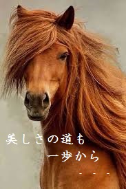 ダウンロード